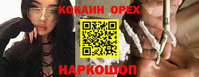 гидра Будённовск