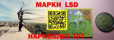 гидра Будённовск