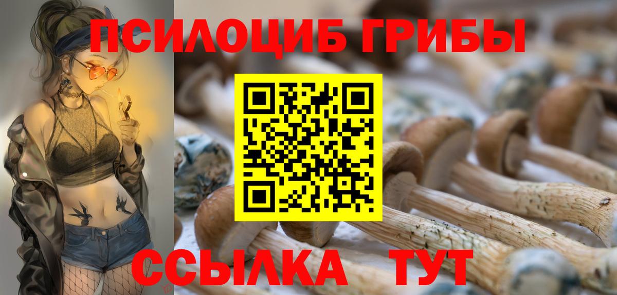 Псилоцибиновые грибы Psilocybe  Вход с VPN  Менделеевск 